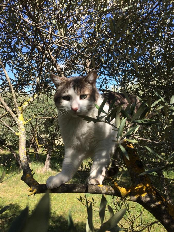 Le Verger Gordes Zewnętrze zdjęcie